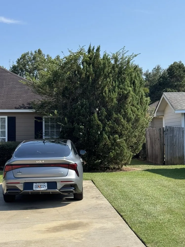 Trusted yard maintenance experts serving Leesburg, GA - Neighborhood Lawn Care