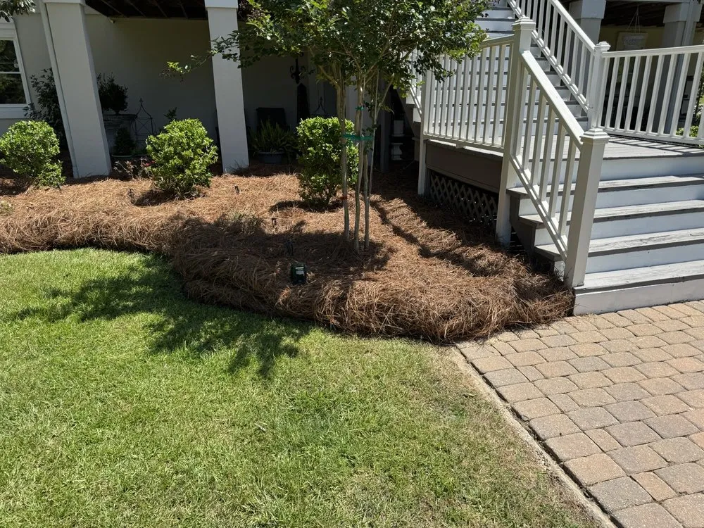 Trusted landscape installation near you in Leesburg, GA by Neighborhood Lawn Care