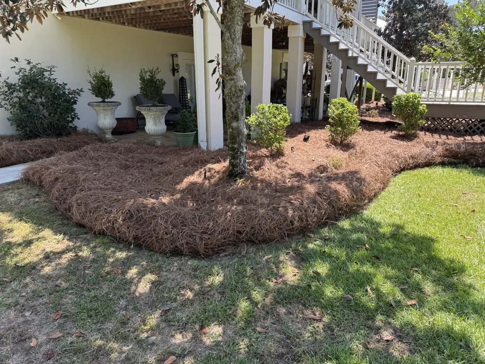 Trusted lawn care service with custom design across Leesburg, GA - Neighborhood Lawn Care