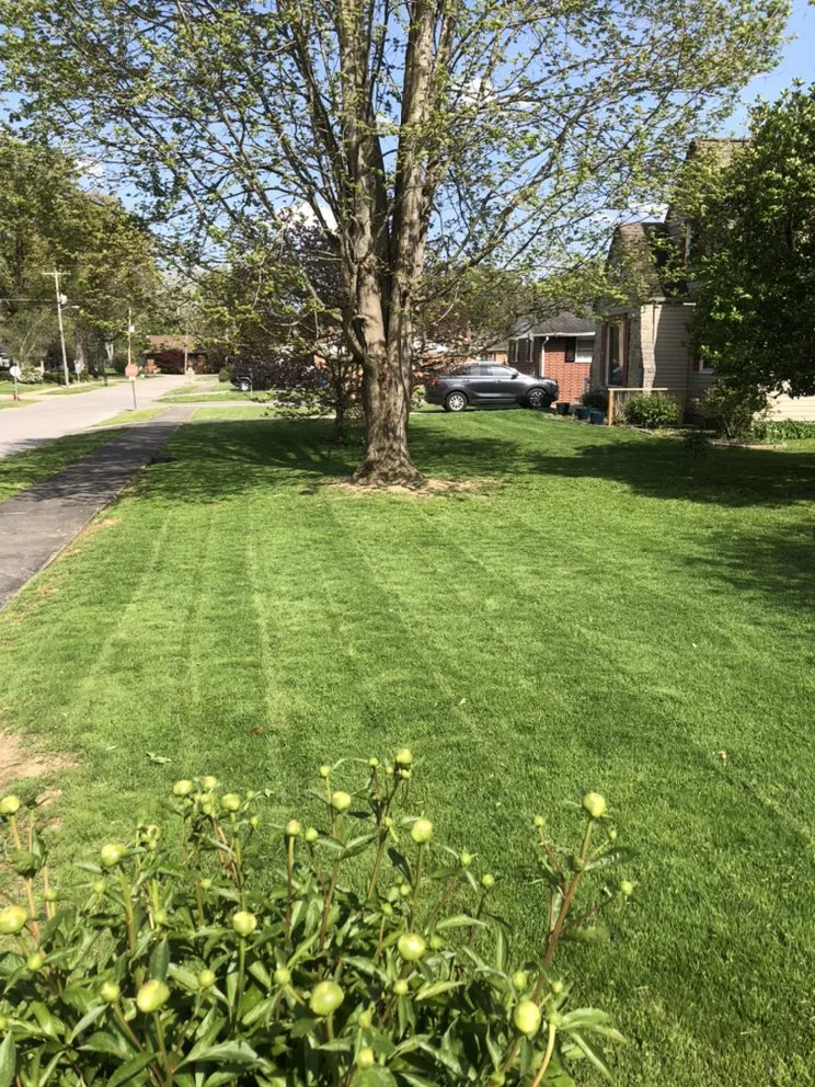 Expert garden landscaping in Prestonsburg, KY by Neighborhood Lawn Care