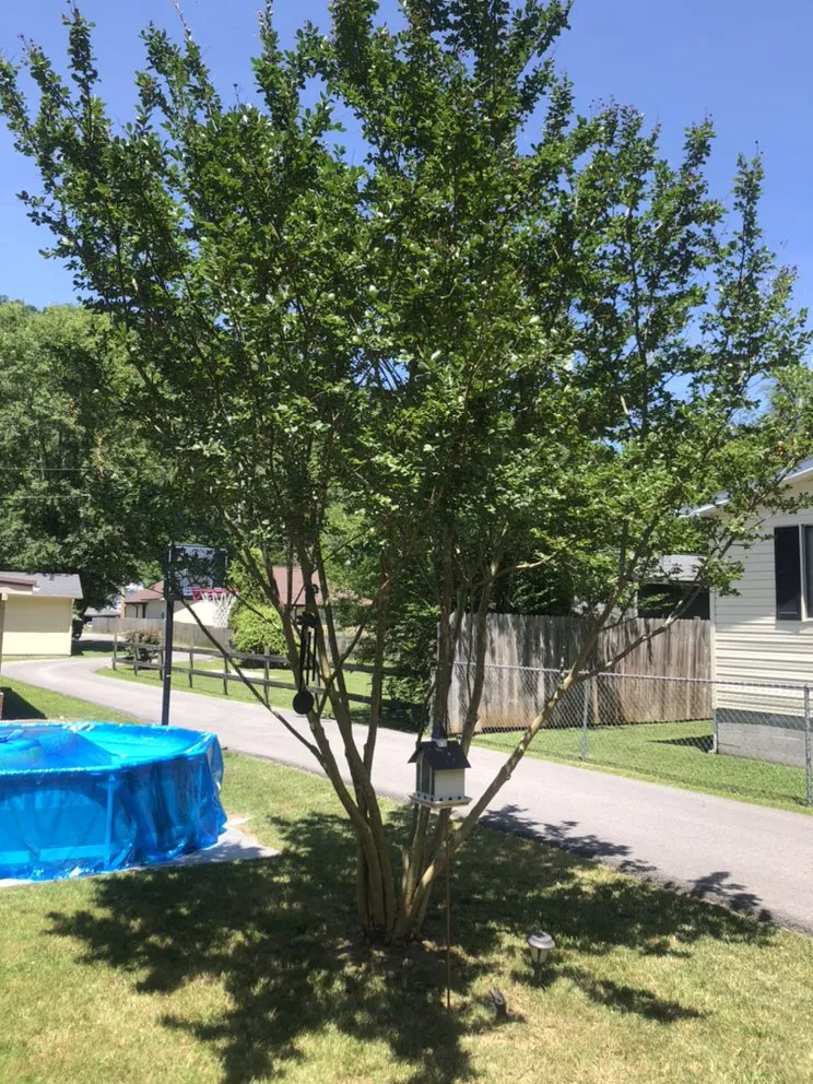 Affordable landscaping services in Prestonsburg, KY by Neighborhood Lawn Care