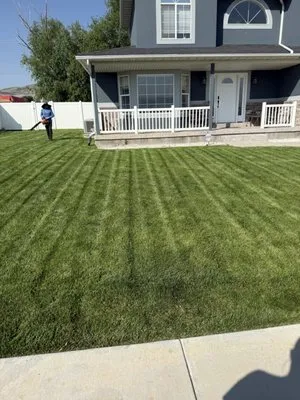 Neighborhood Lawn Care Logo