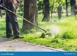 Top-rated yard maintenance for year-round maintenance across San Antonio, TX - Neighborhood Lawn Care