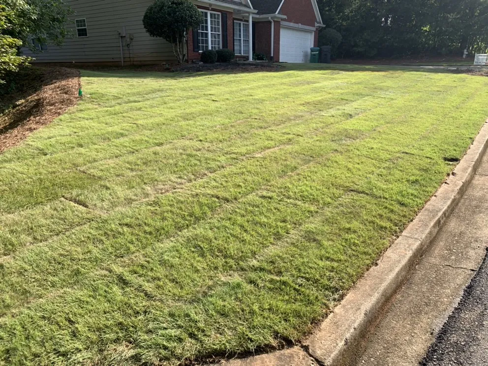 Expert lawn mowing service experts serving Stone Mountain, GA - Neighborhood Lawn Care