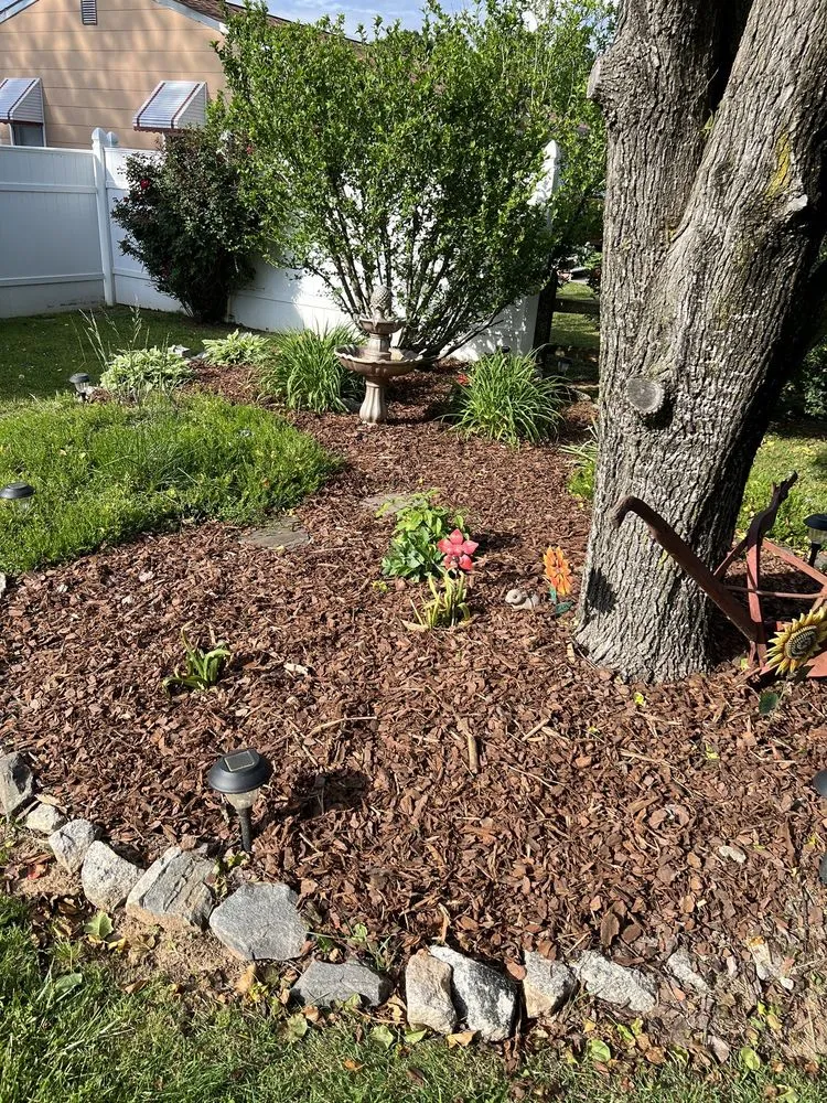 Affordable yard cleanup service experts serving Thomasville, NC - Neighborhood Lawn Care