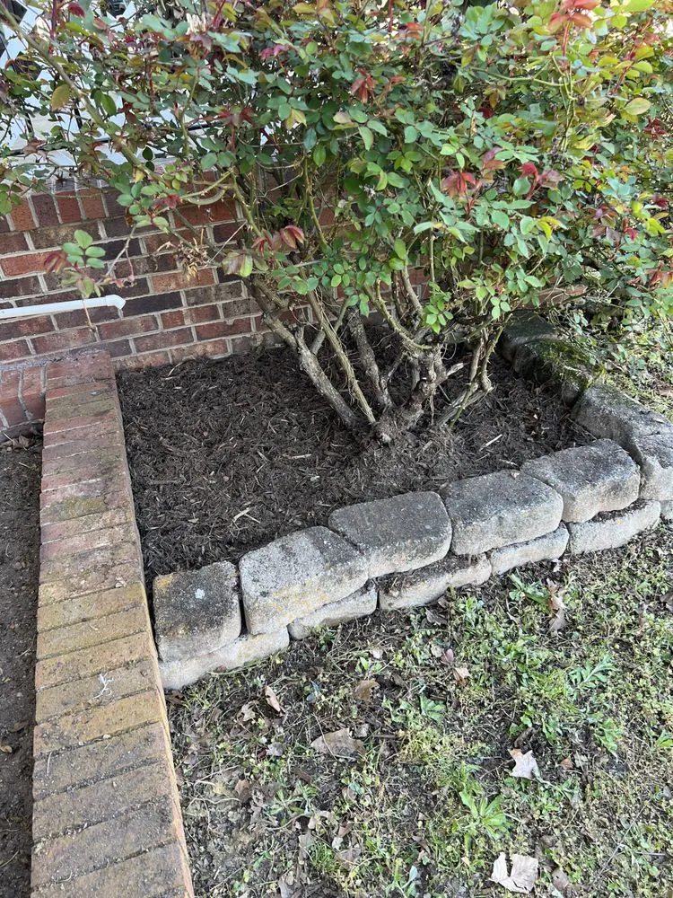 Reliable yard maintenance in Thomasville, NC - Neighborhood Lawn Care