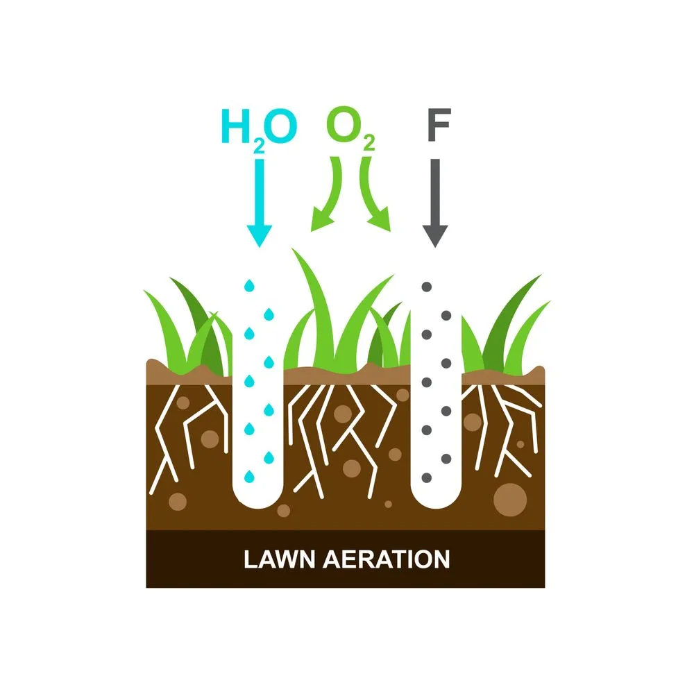 Top-rated garden landscaping near you across Meridian, ID - Neighborhood Lawn Legends
