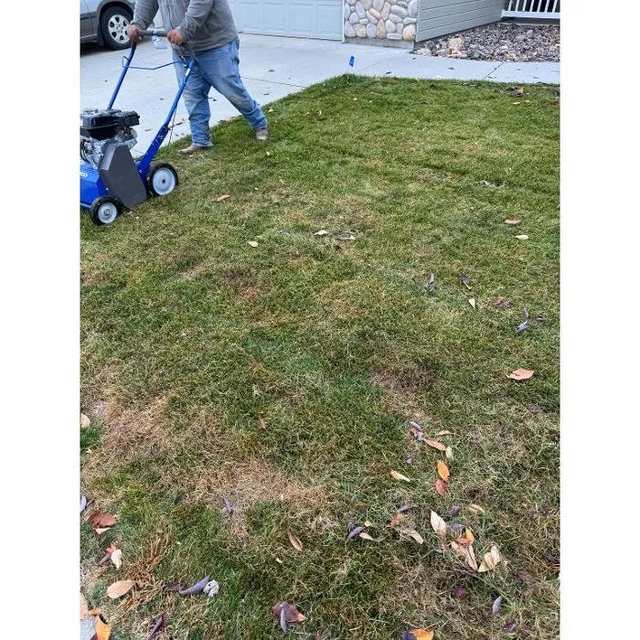 Trusted yard maintenance experts serving Meridian, ID - Neighborhood Lawn Legends