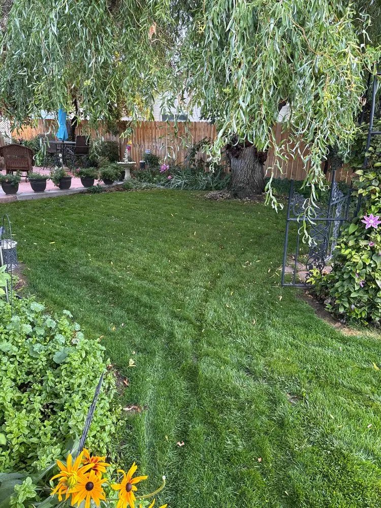 Affordable lawn care service in Meridian, ID by Neighborhood Lawn Legends
