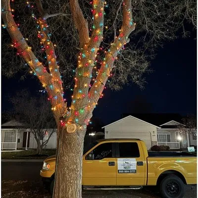 Neighborhood Lawn Legends Logo