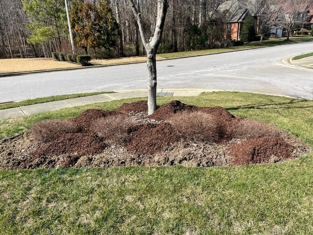 Custom landscape installation experts serving Fuquay-Varina, NC - Neighborhood Lawn Service
