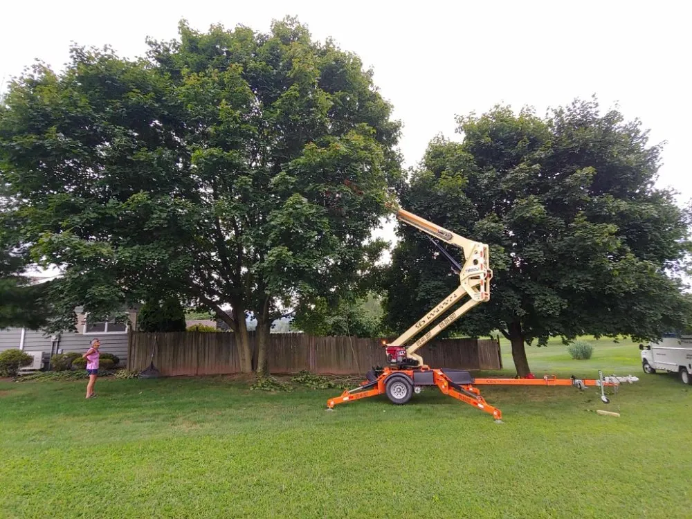 Custom landscaping services experts serving Berwick, PA - Neighborhood Movers