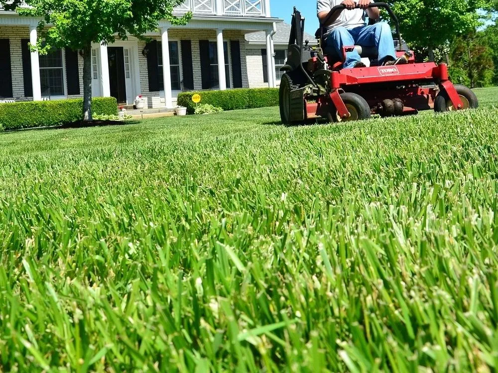 Professional garden landscaping in Fayetteville, NC by Neighborhood Mowing