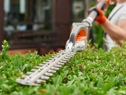 Neighborhood Mowing Logo