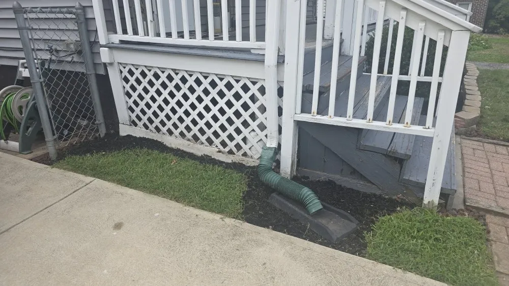 Local yard cleanup service near you in Lakewood, OH by Neighborhood Nurturer