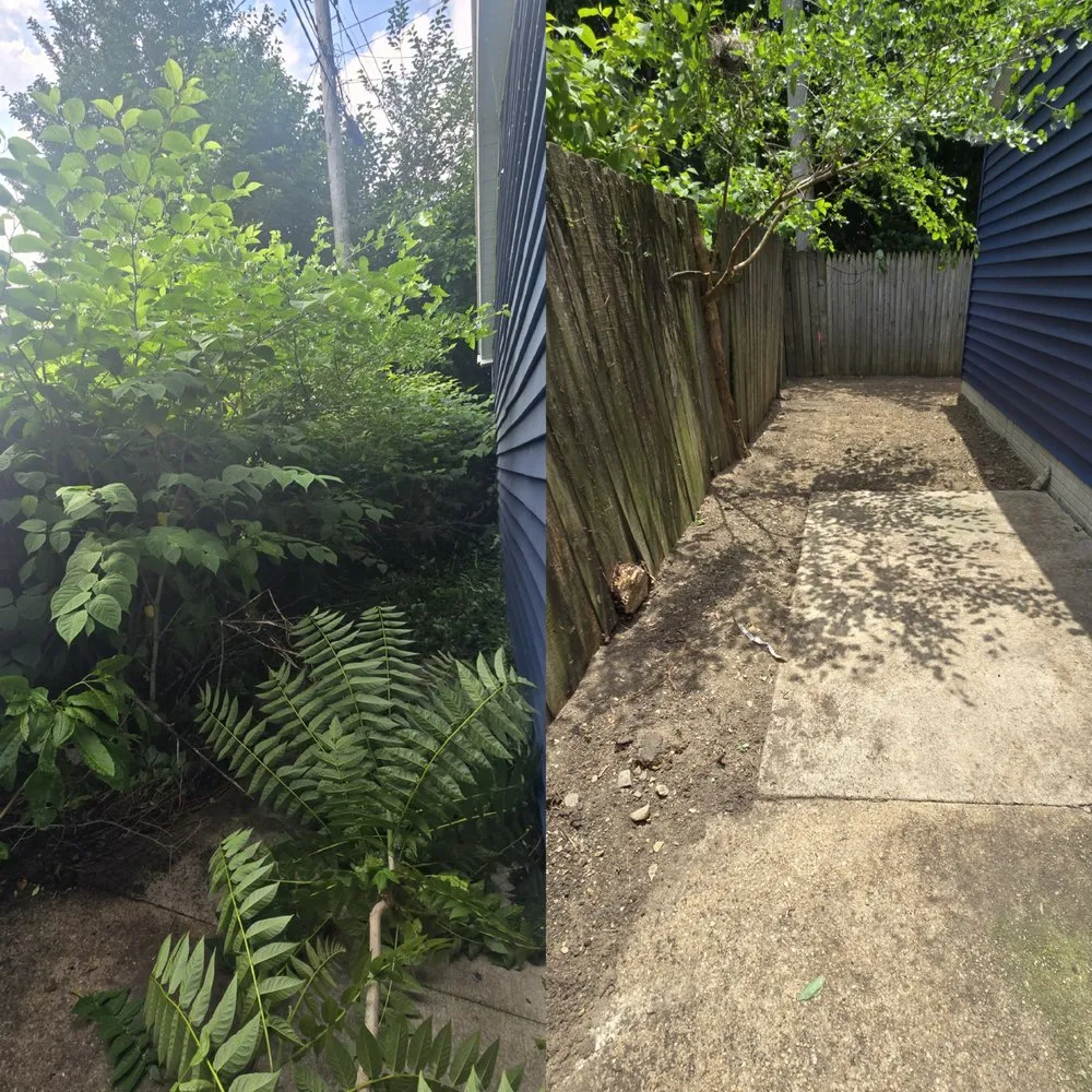 Local garden landscaping near you across Lakewood, OH - Neighborhood Nurturer