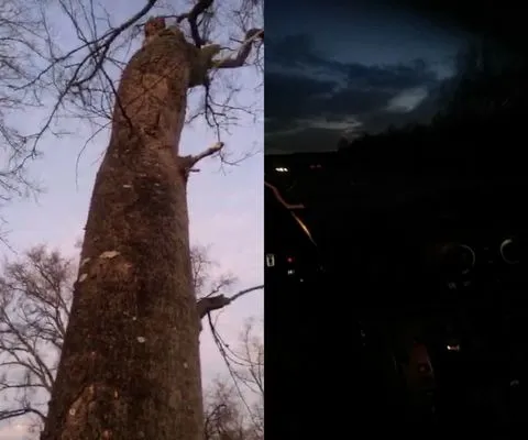 Neighborhood Powder Room Experience Logo