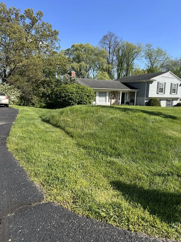 Professional landscape design for year-round maintenance across Troy, MI - Neighborhood Services