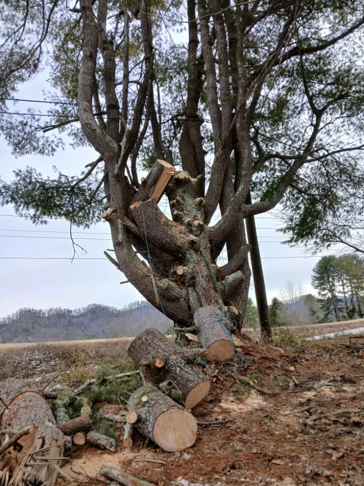 Trusted landscape design near you across Kingsport, TN - Neighborly Handyman Services