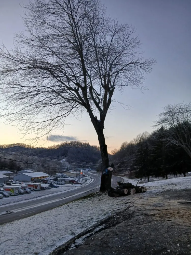 Reliable garden landscaping in Kingsport, TN by Neighborly Handyman Services