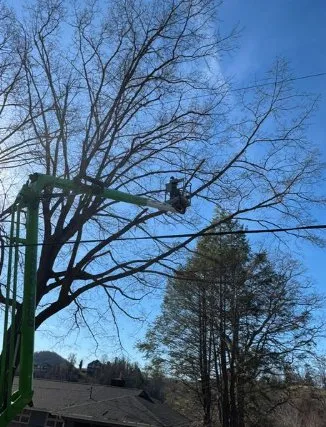 Custom landscape design for outdoor upgrades in Kingsport, TN by Neighborly Handyman Services