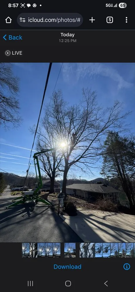 Local lawn mowing service in Kingsport, TN by Neighborly Handyman Services