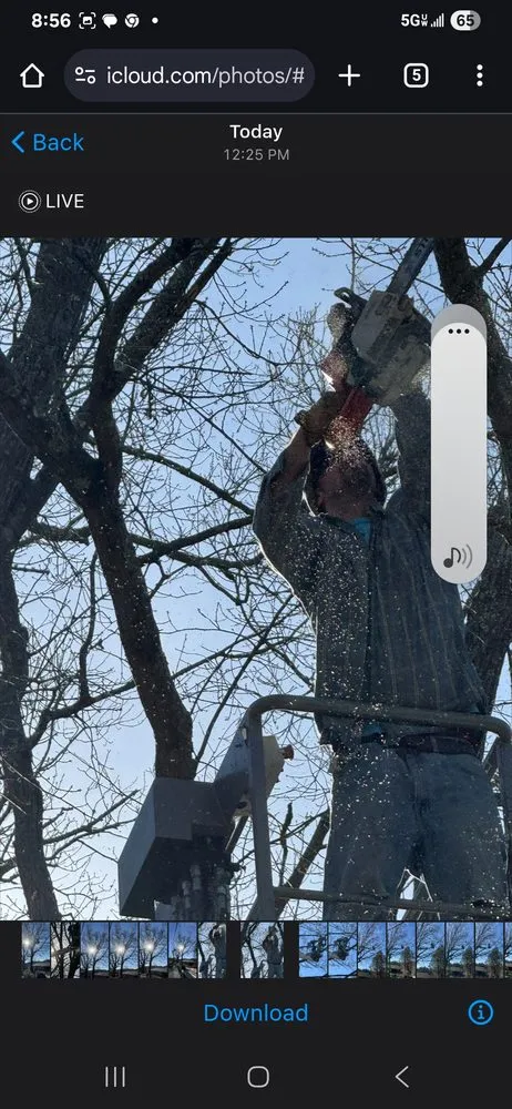 Affordable yard maintenance in Kingsport, TN by Neighborly Handyman Services