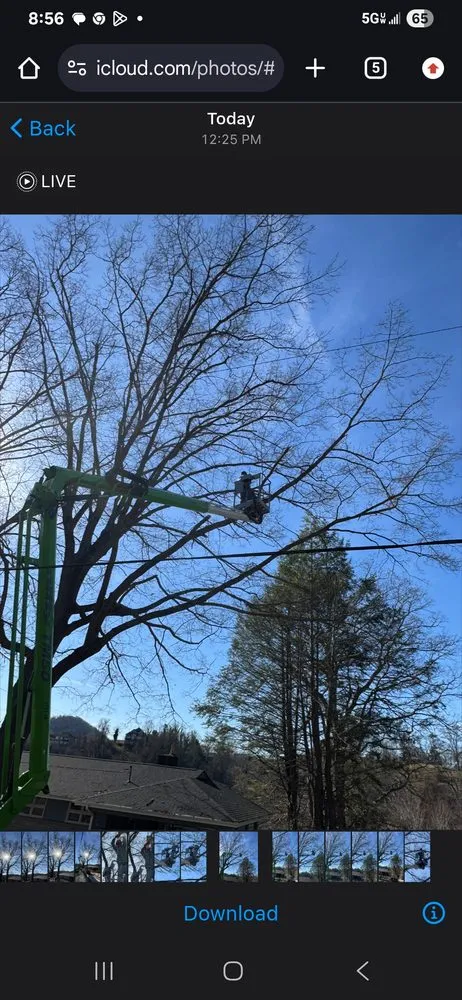 Top-rated residential landscaping near you across Kingsport, TN - Neighborly Handyman Services