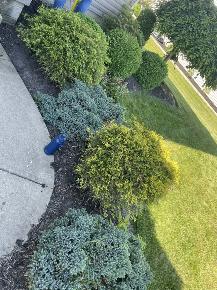 Top-rated residential landscaping experts serving Medina, OH - Neighborly Landscaping