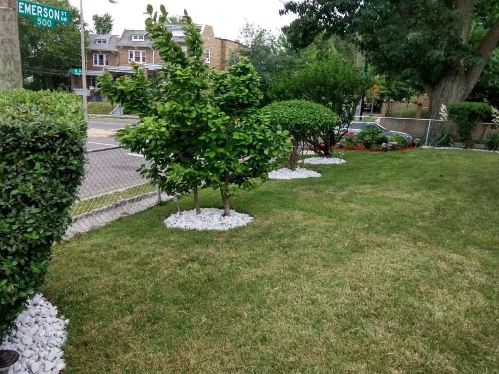 Reliable lawn care service experts serving Washington DC, DC - Neighborly Lawns