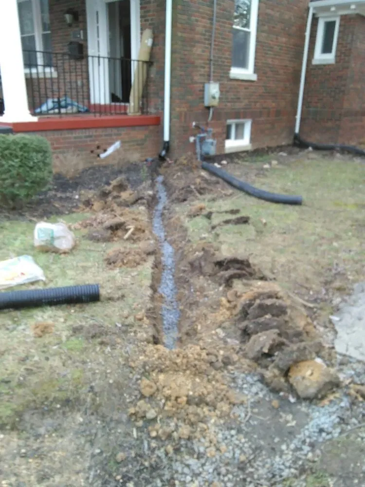 Professional yard cleanup service in Washington DC, DC by Neighborly Lawns