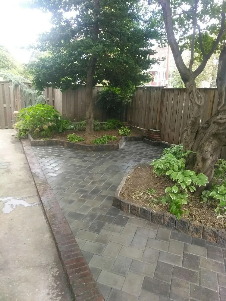 Trusted yard cleanup service for homes across Washington DC, DC - Neighborly Lawns