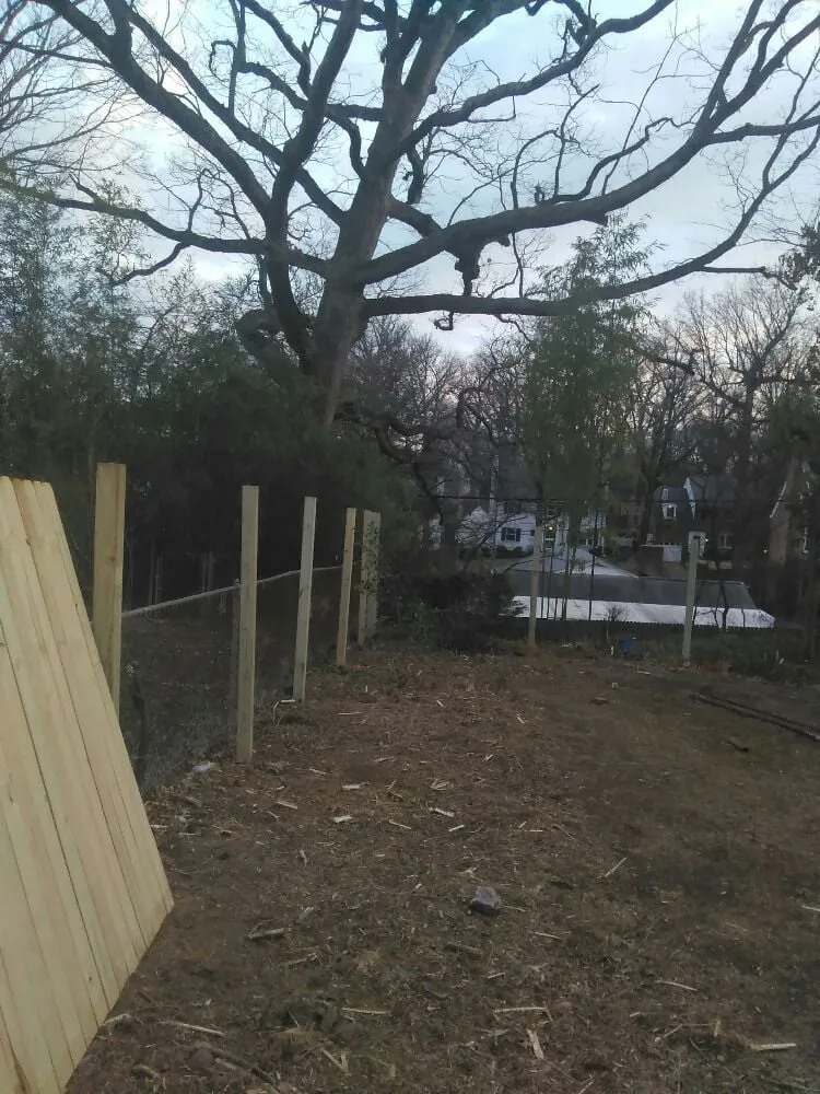 Expert lawn care service for homes in Washington DC, DC by Neighborly Lawns