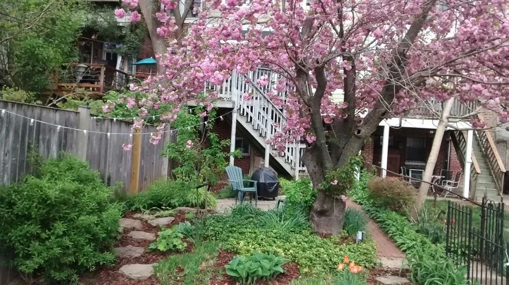 Local residential landscaping experts serving Washington DC, DC - Neighborly Lawns