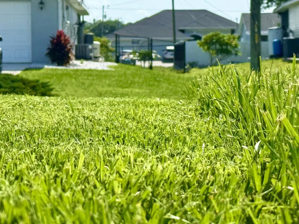 Custom landscape installation experts serving Cape Coral, FL - Neighbors Best Lawn Care
