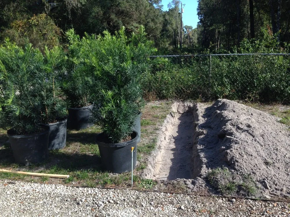 Local outdoor landscaping in Belleview, FL by Neighbors Envy