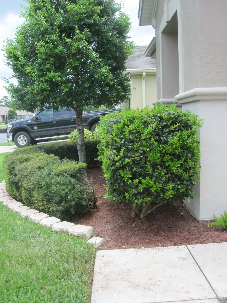 Reliable lawn mowing service in Belleview, FL by Neighbors Envy