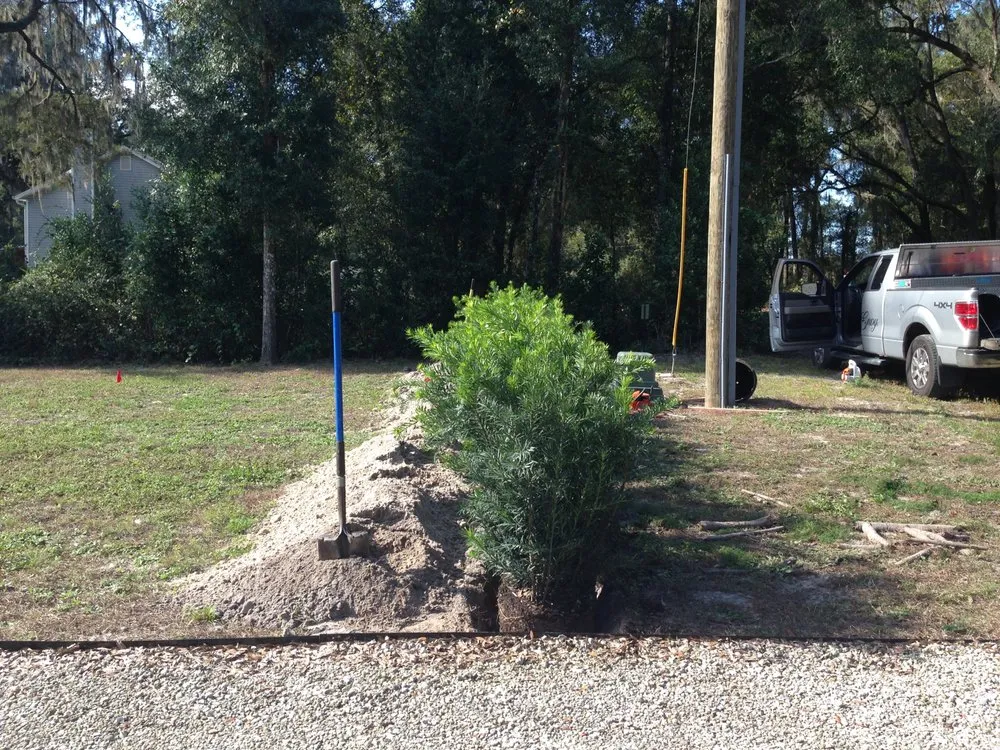 Expert outdoor landscaping near you in Belleview, FL by Neighbors Envy