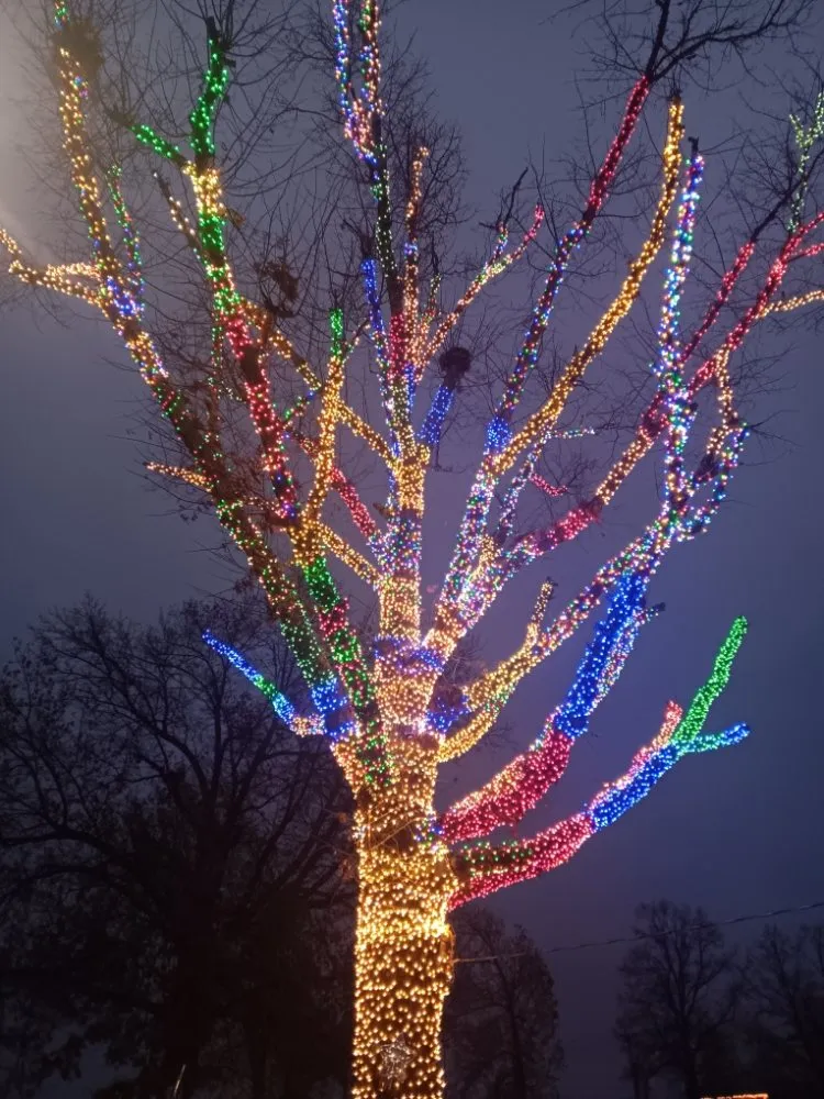 Trusted landscape installation in Eldon, MO - Neighbors Lawn and Landscap Maintenance