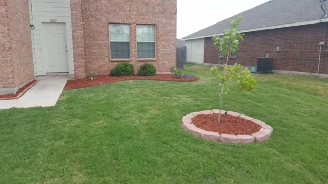 Expert residential landscaping near you in Lavon, TX by Neighbors Lawn Care