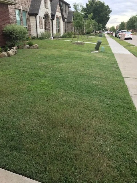 Local yard maintenance experts serving Lavon, TX - Neighbors Lawn Care