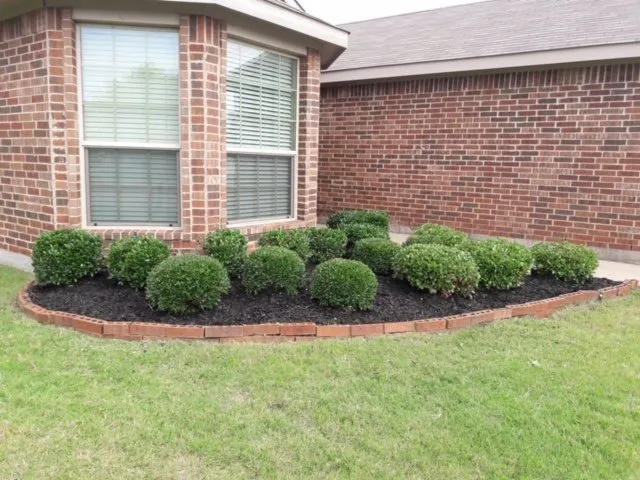 Affordable lawn care service experts serving Lavon, TX - Neighbors Lawn Care