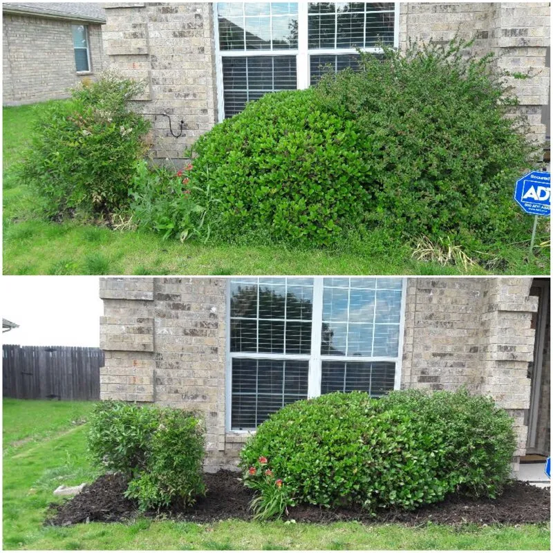 Custom yard cleanup service in Lavon, TX - Neighbors Lawn Care