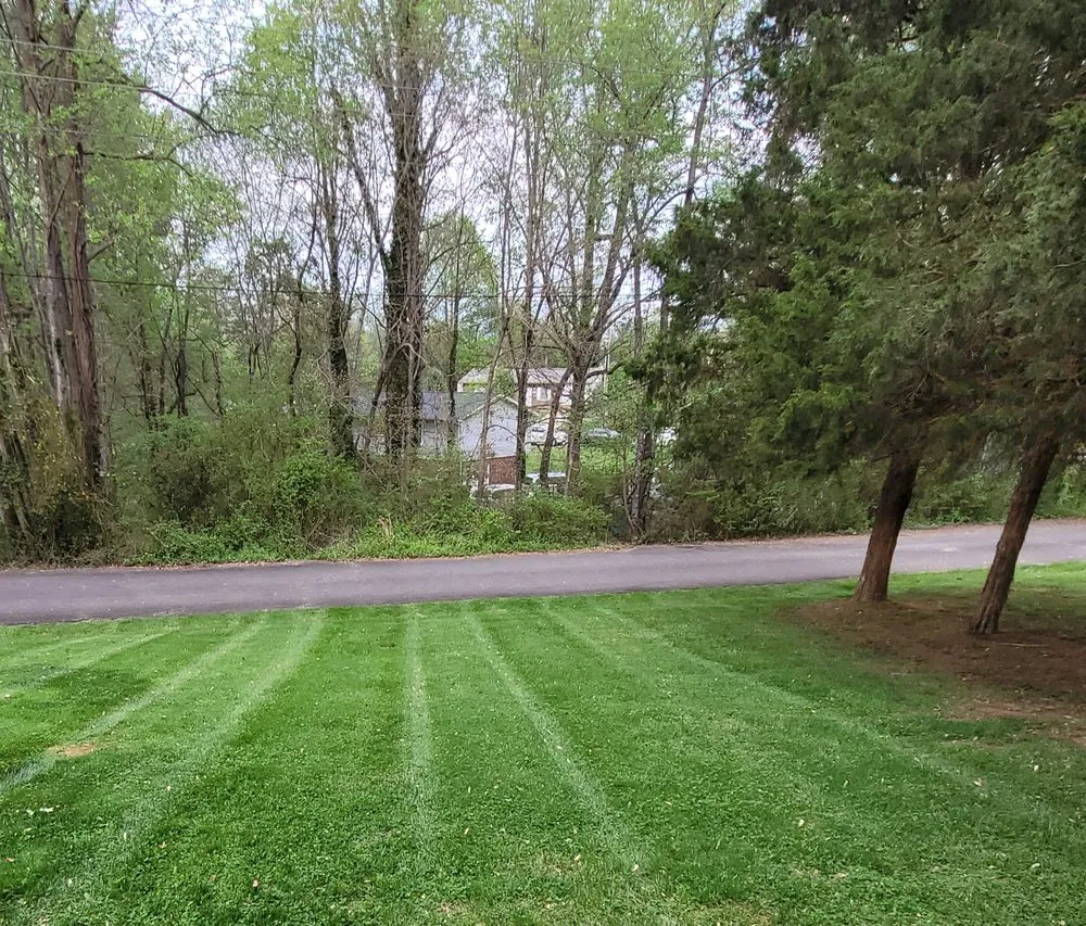 Reliable yard cleanup service near you across Morganton, NC - Neighbor's Lawn Care