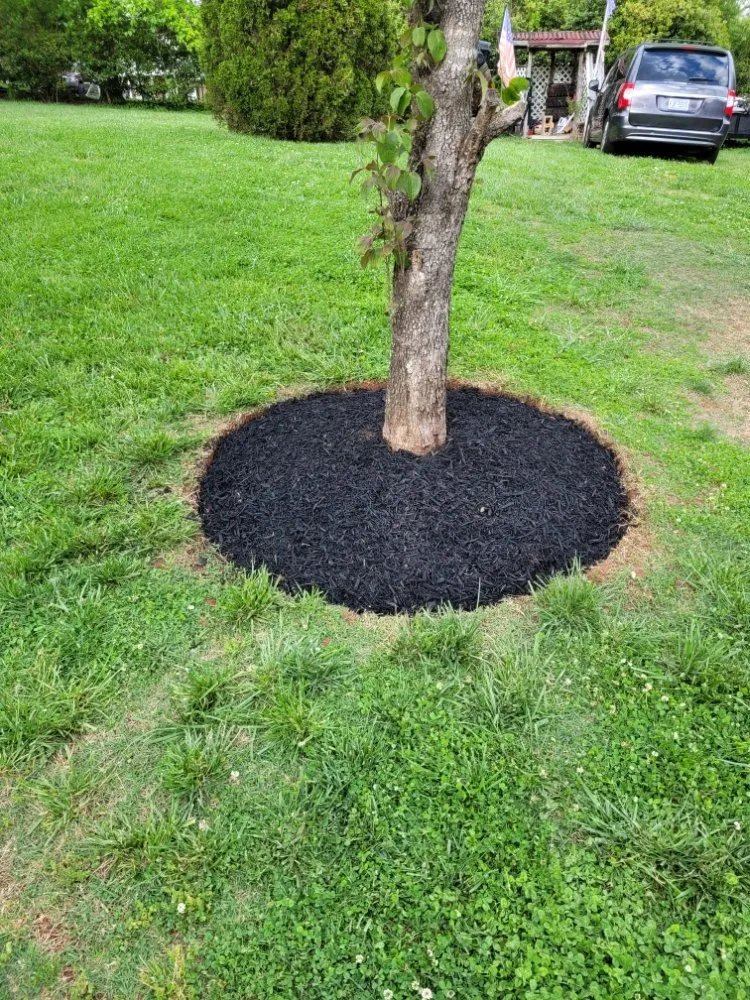 Trusted lawn mowing service experts serving Morganton, NC - Neighbor's Lawn Care