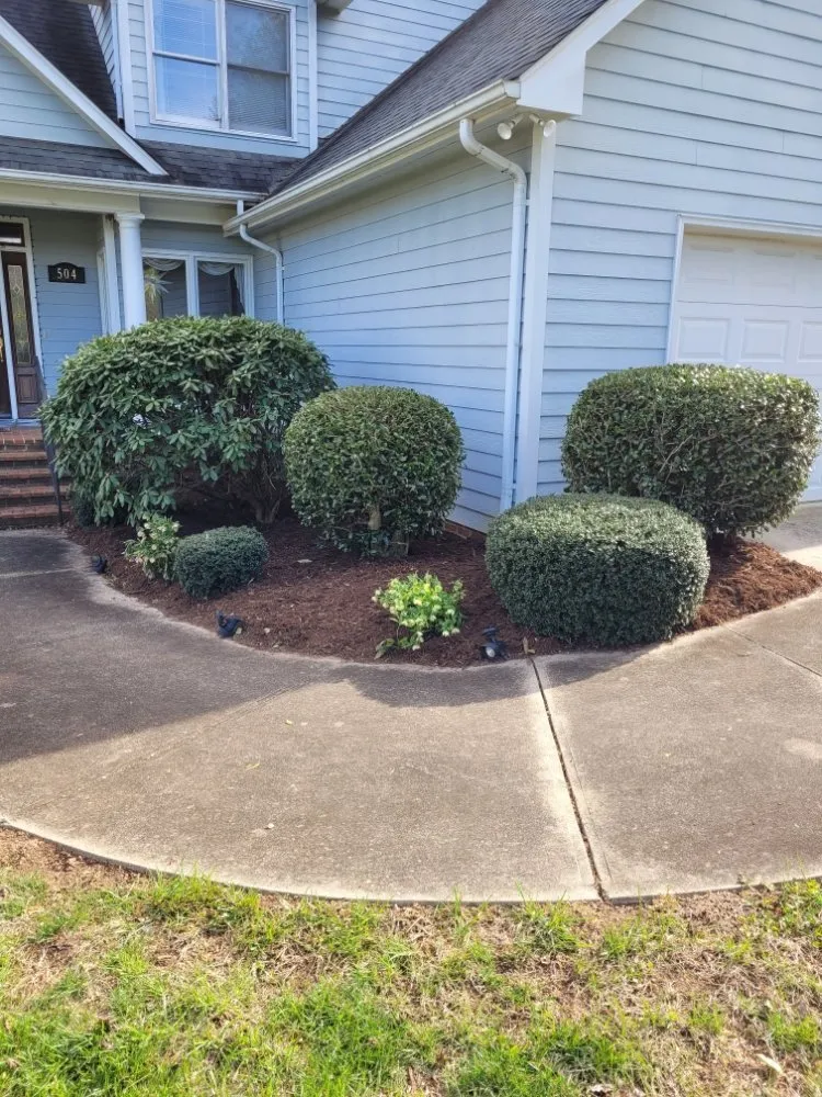 Professional yard cleanup service in Morganton, NC - Neighbor's Lawn Care