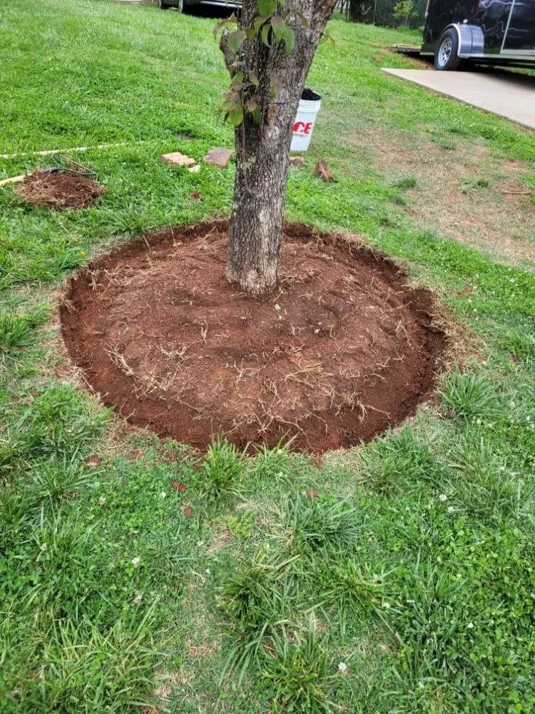 Reliable landscape installation experts serving Morganton, NC - Neighbor's Lawn Care