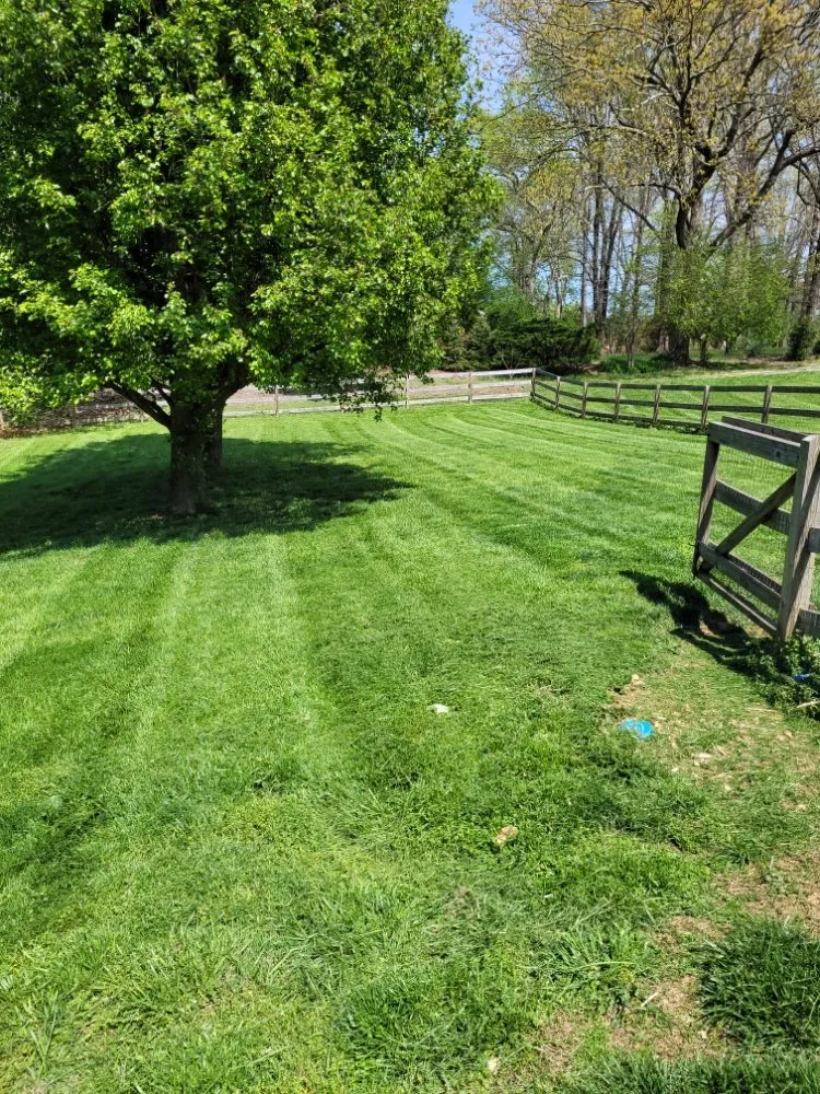 Reliable lawn care service in Morganton, NC - Neighbor's Lawn Care
