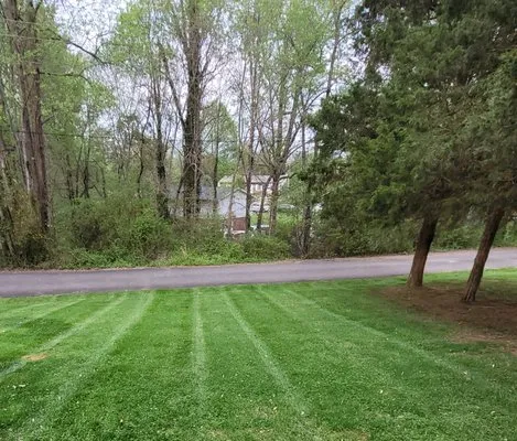 Neighbor's Lawn Care Logo