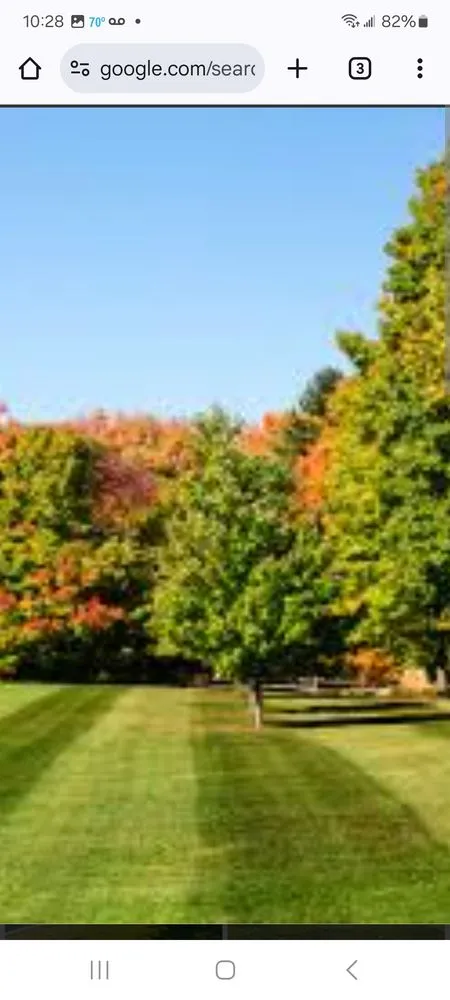 Trusted outdoor landscaping for outdoor upgrades in Evanston, IL by Neill Landscaping Service